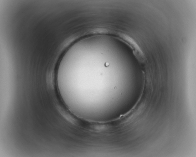 X0000114010439200910091427