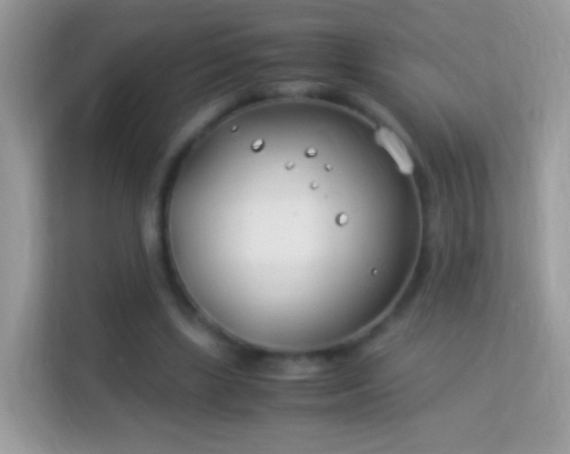 X0000114010443200910091427