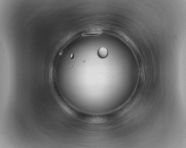 X0000114010445200910091427
