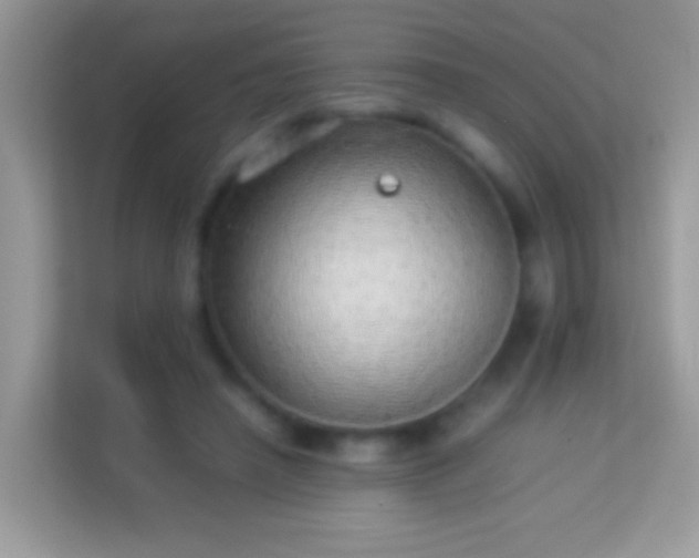 X0000114010450200910091427