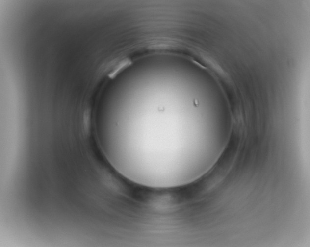 X0000114010454200910091427