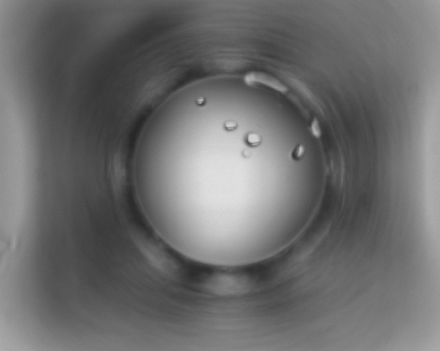 X0000114010455200910091427