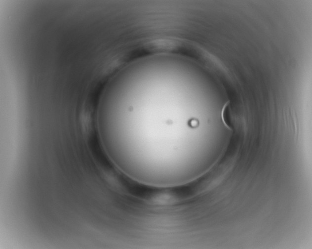 X0000114010460200910091427