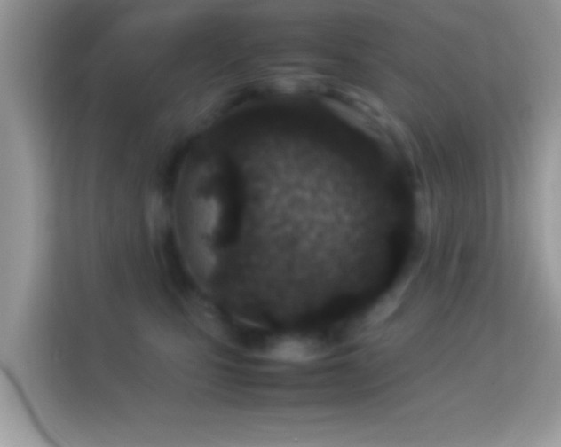 X0000114010471200910091427