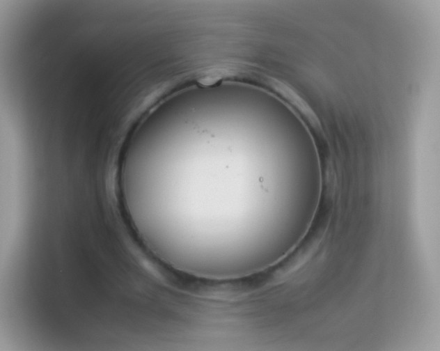 X0000114010485200910091427