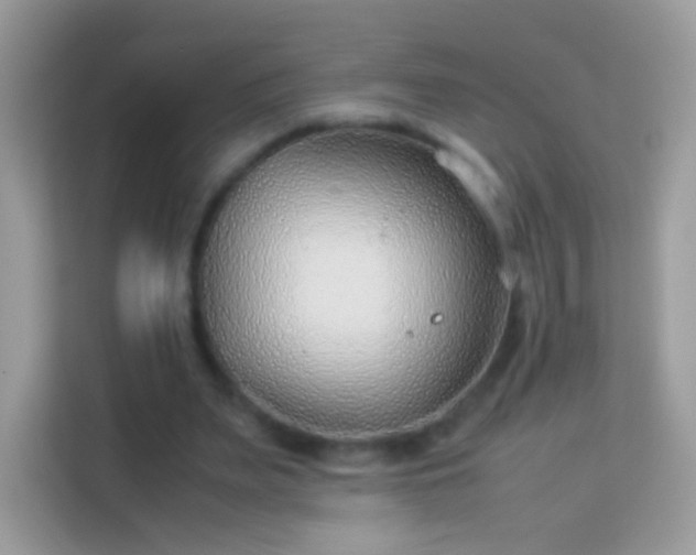 X0000114010487200910091426