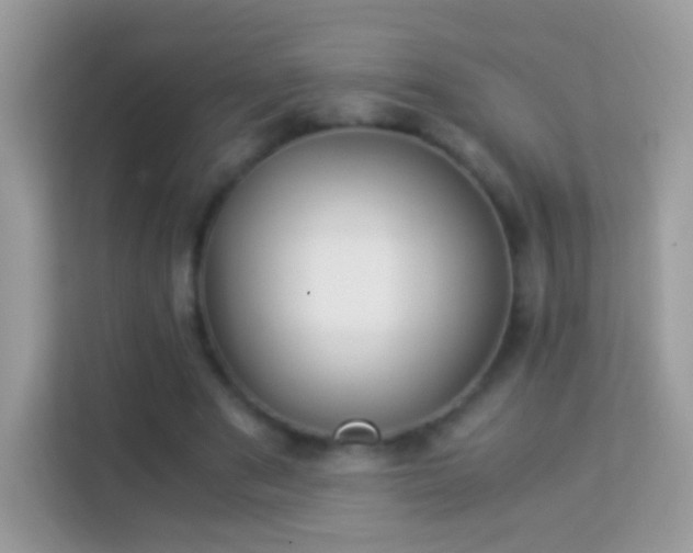 X0000114010489200910091426