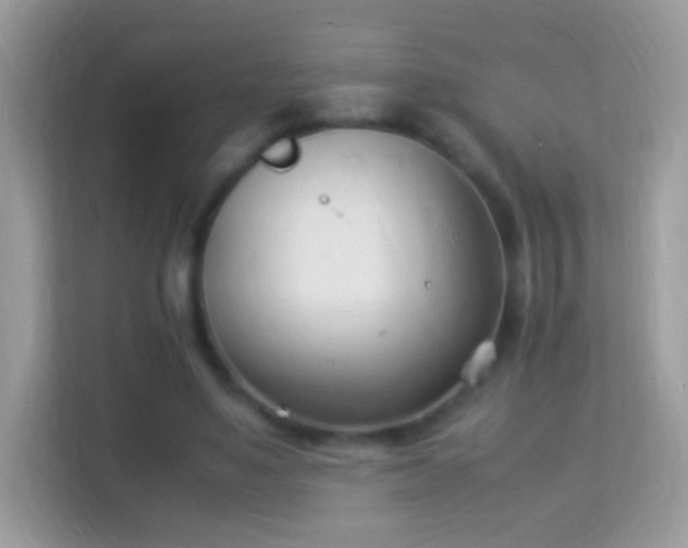 X0000114010491200910091426