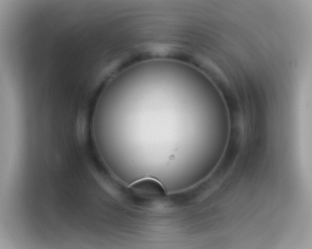 X0000114010496200910091426