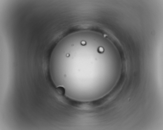 X0000114010505200910091426