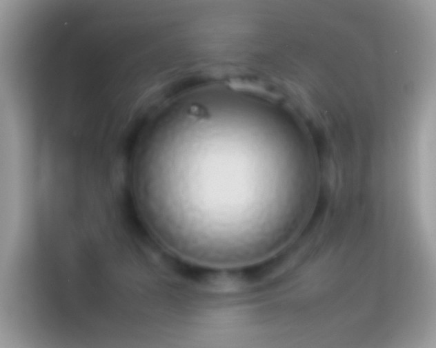 X0000114010511200910091426
