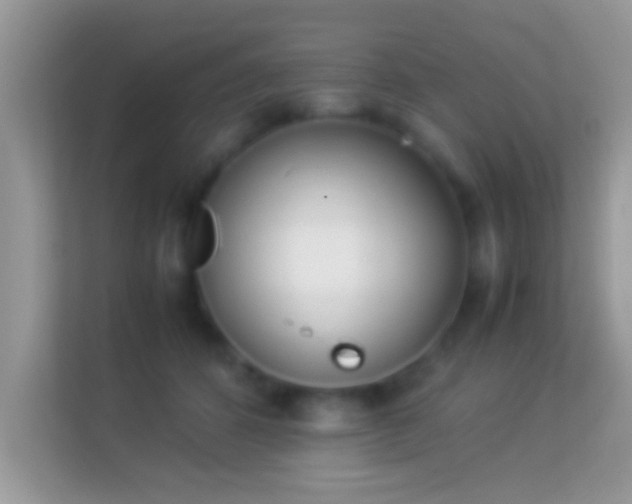 X0000114010512200910091426