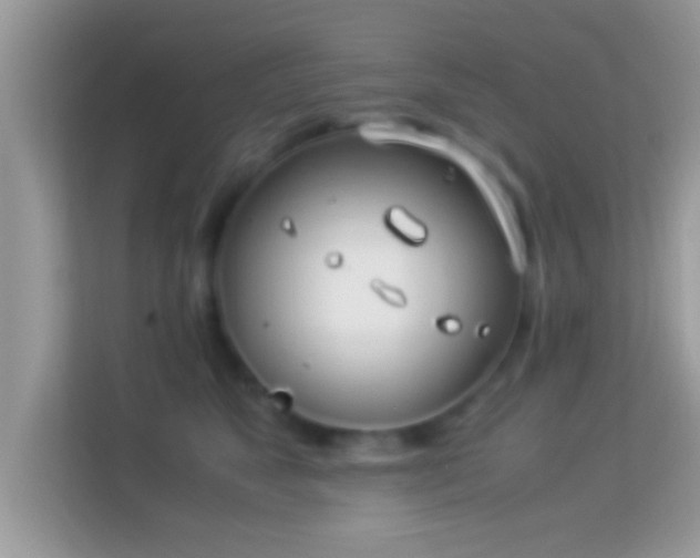 X0000114010517200910091426