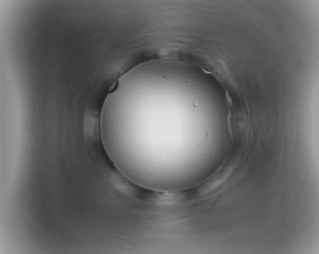 X0000114010527200910091426