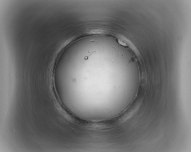 X0000114010529200910091425