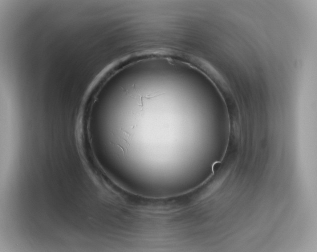 X0000114010532200910091425