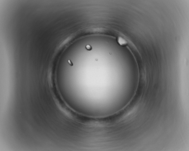 X0000114010538200910091425