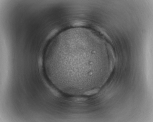 X0000114010539200910091425