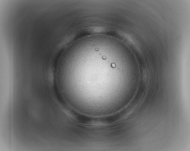 X0000114010545200910091426