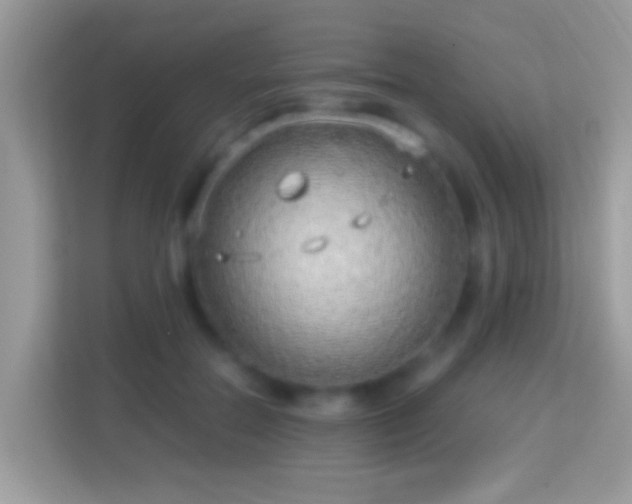 X0000114010554200910091426