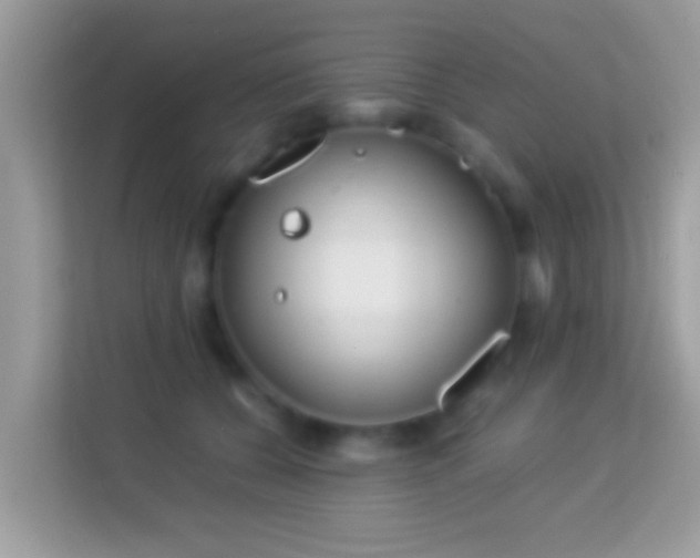 X0000114010560200910091426
