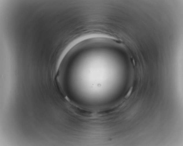 X0000114010562200910091426