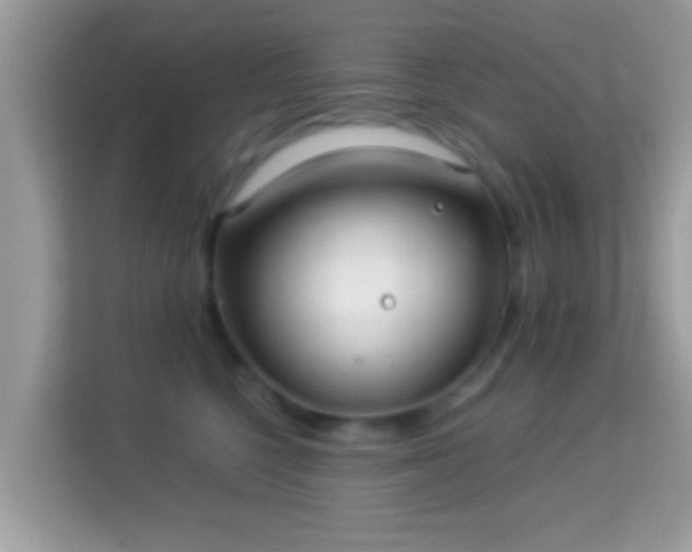 X0000114010568200910091426