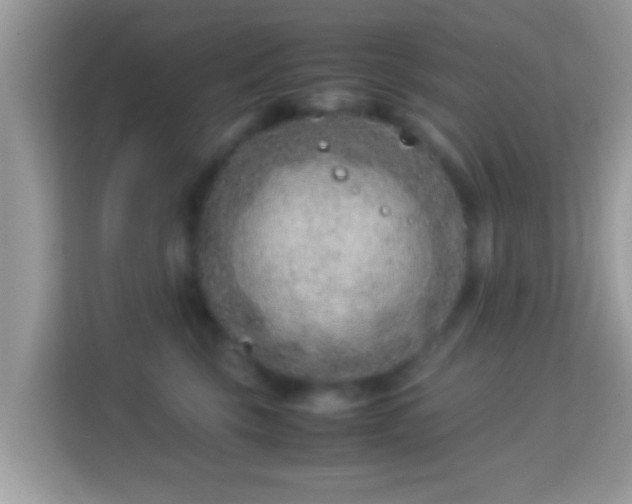 X0000114010569200910091426