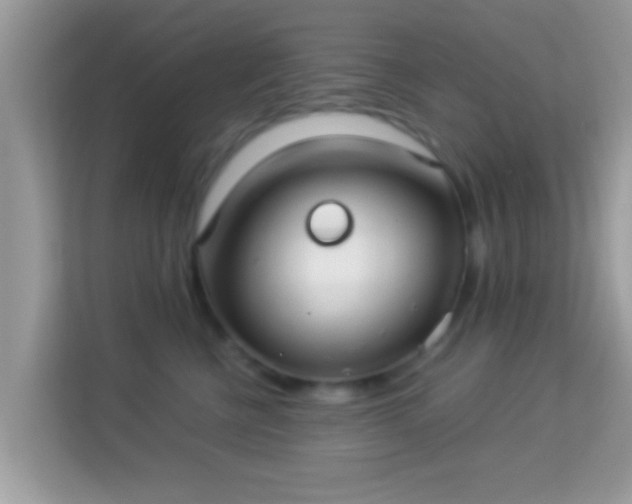 X0000114010570200910091426