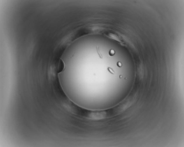 X0000114010571200910091426