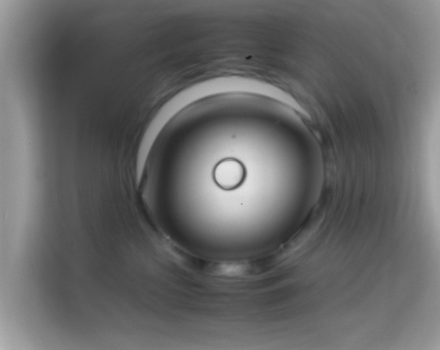 X0000114010573200910091426