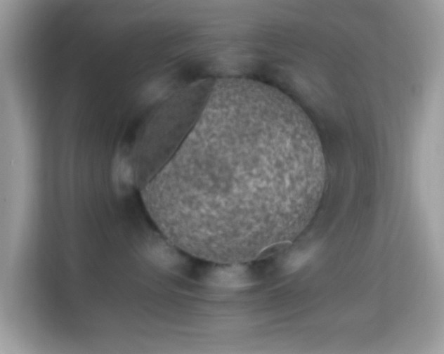 X0000114010576200910091426