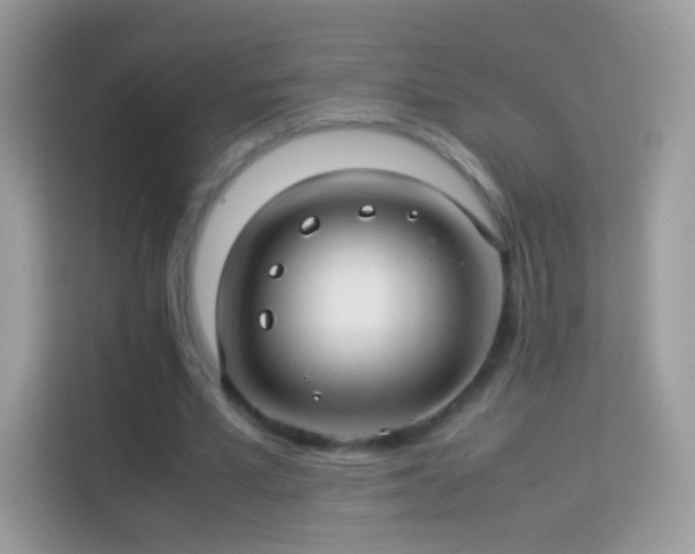 X0000114010581200910091425