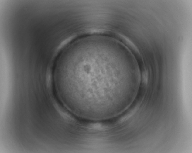 X0000114010588200910091425