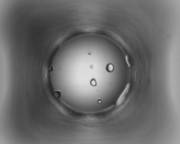 X0000114010589200910091425