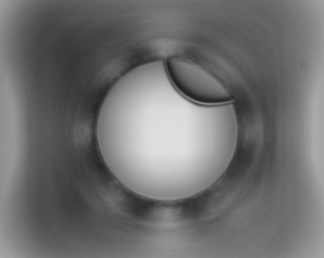 X0000114010595200910091425