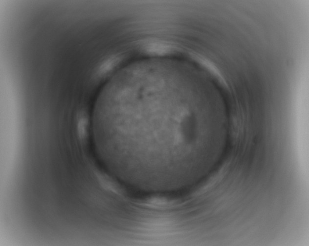 X0000114010596200910091425