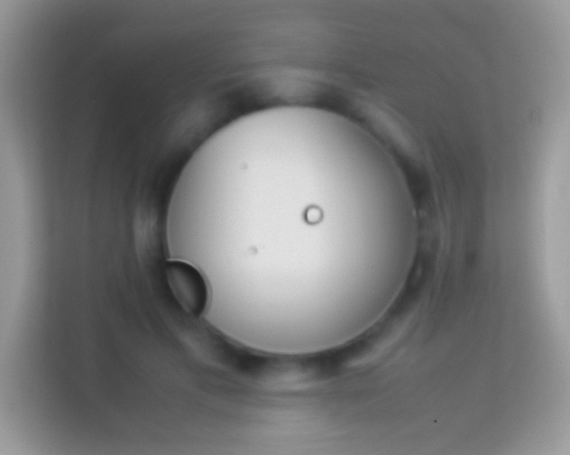 X0000114010597200910091425