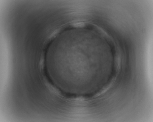 X0000114010600200910091425