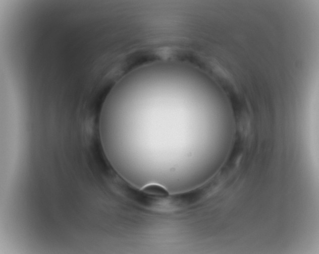 X0000114010611200910091425