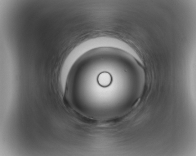 X0000114010613200910091425