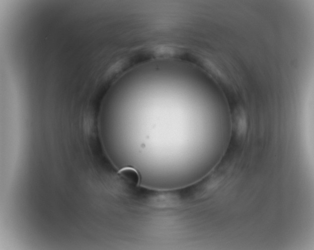 X0000114010619200910091425