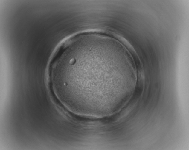 X0000114010628200910091424