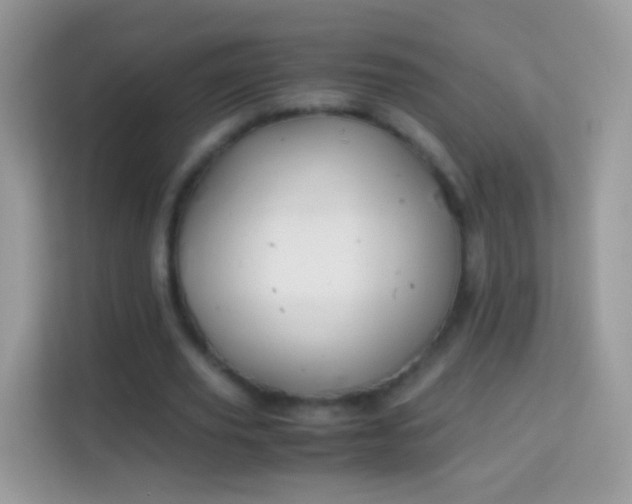 X0000114010629200910091424