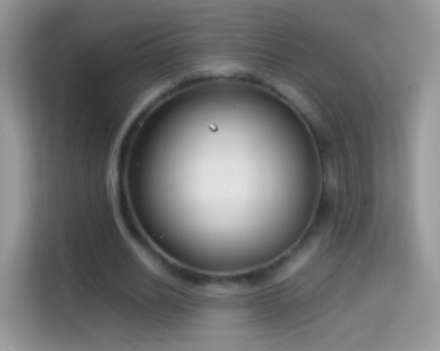 X0000114010630200910091424