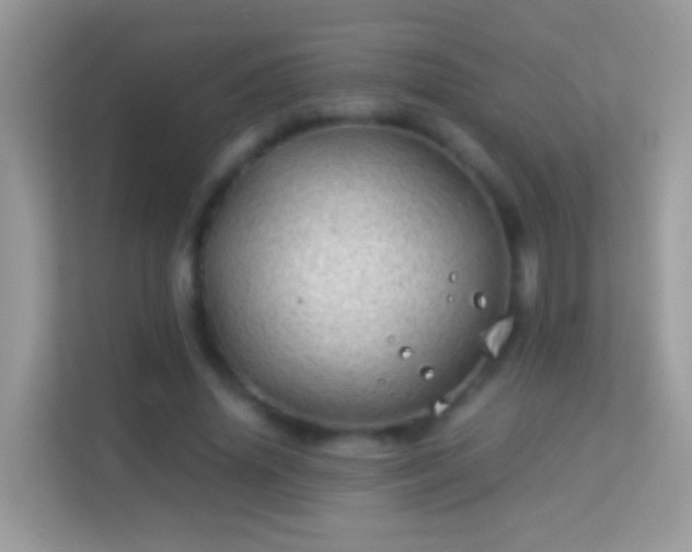 X0000114010636200910091424
