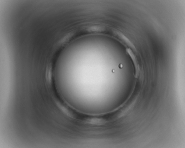 X0000114010637200910091424