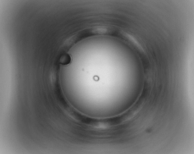 X0000114010645200910091424
