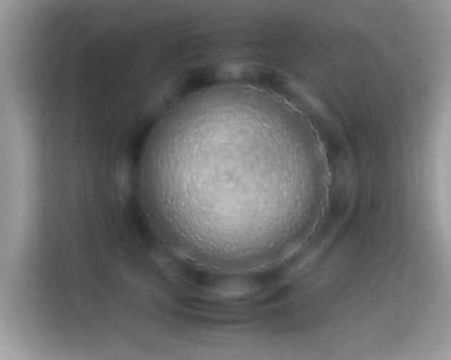 X0000114010659200910091425