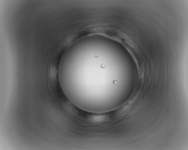 X0000114010669200910091425